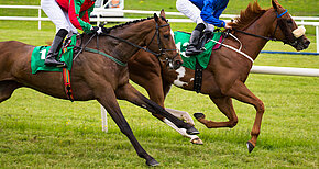 Close,Up,On,Two,Race,Horses,And,Jockeys,Competing,For